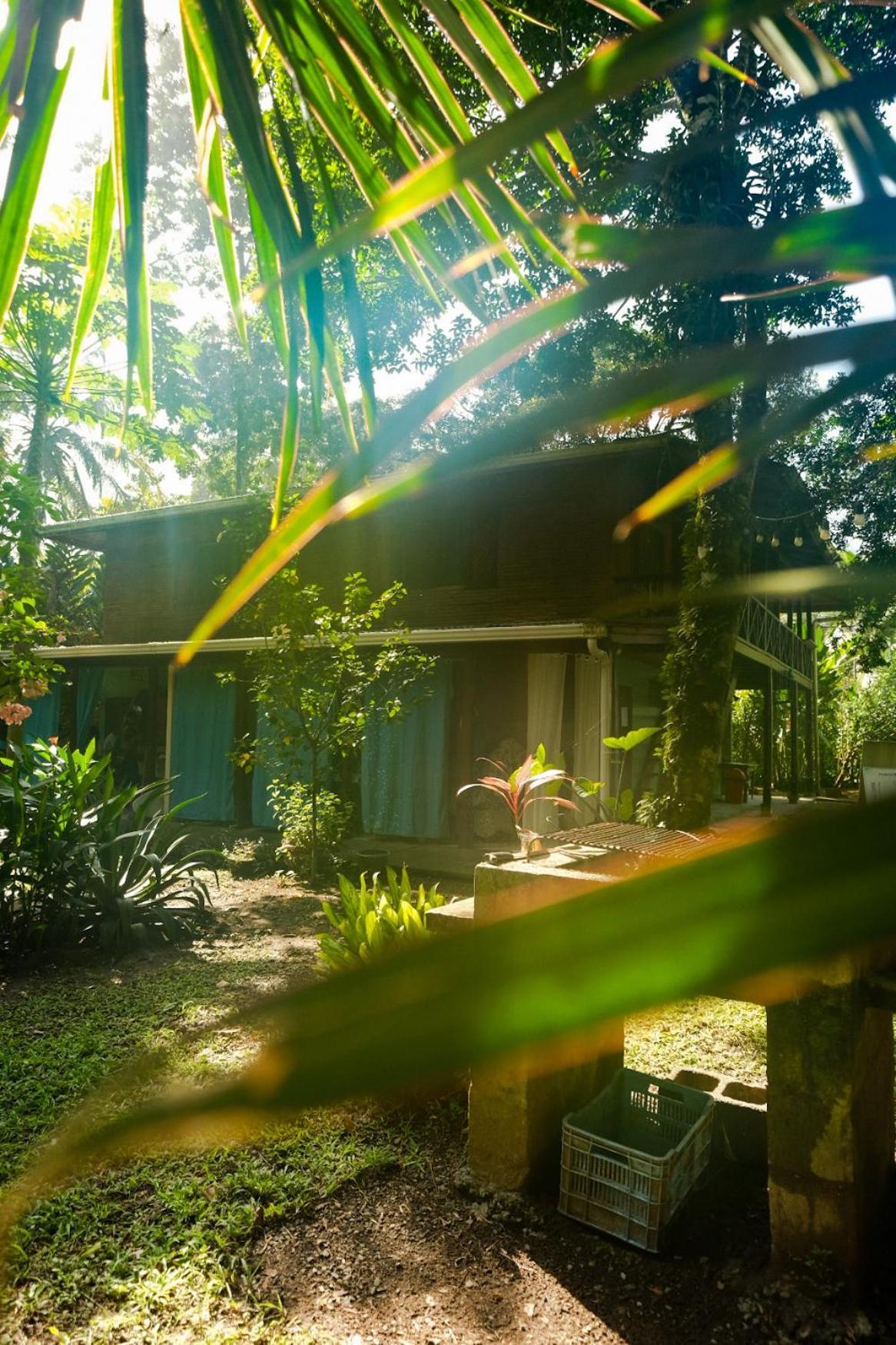 Casa Aldirica Hotel Cahuita Exterior photo